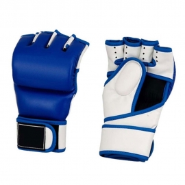 MMA Gloves