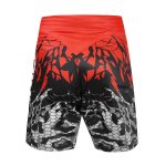 MMA Shorts - Image 2